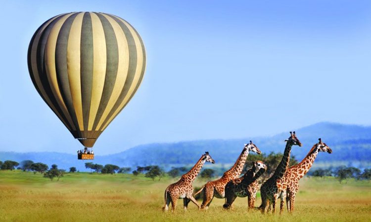 Serengeti balloon safari 2026 prices, pickup & breakfast included